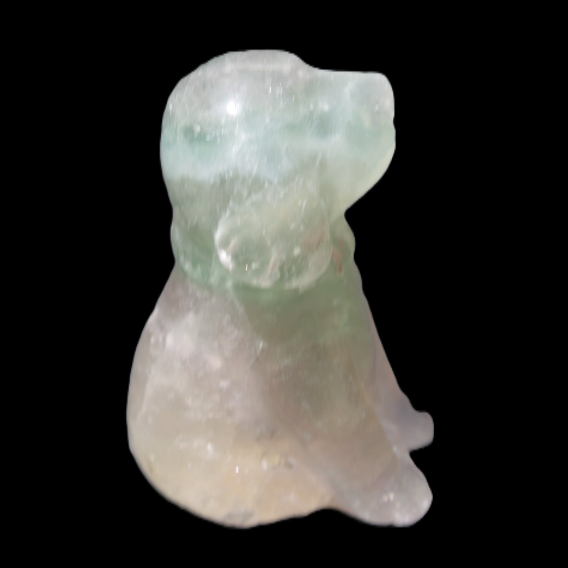 Fluorite hand-carved dog 105g Rocks and Things Store