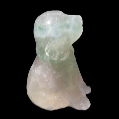 Fluorite hand-carved dog 105g Rocks and Things Store