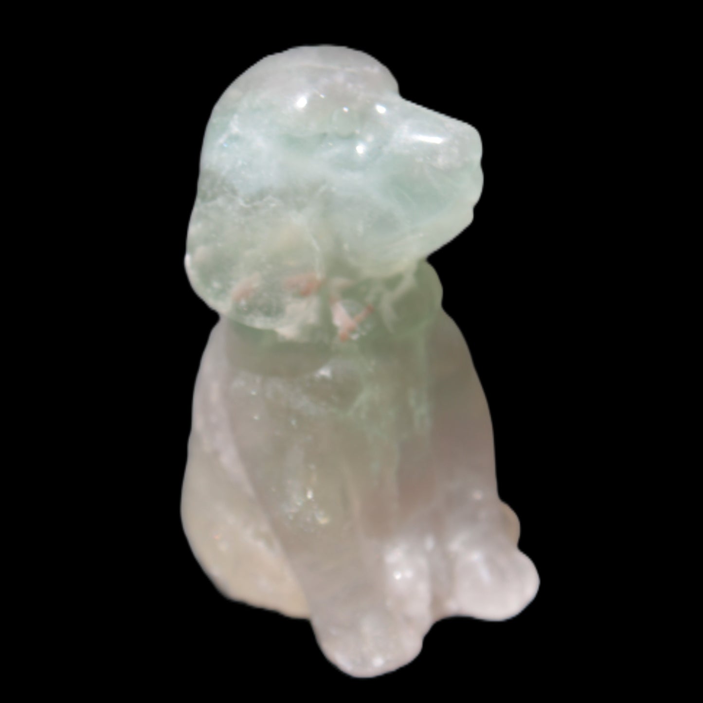 Fluorite hand-carved dog 105g Rocks and Things Store