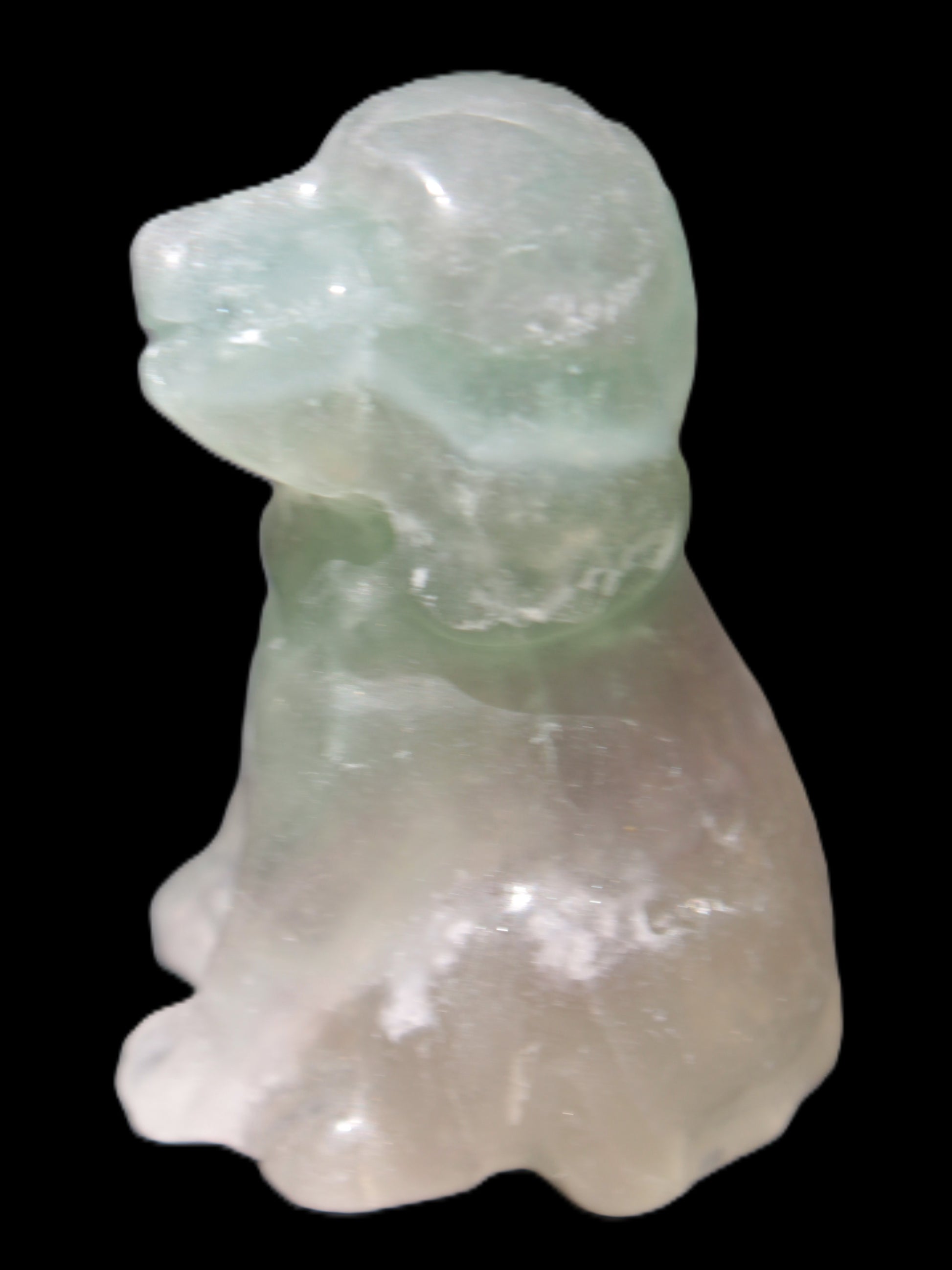 Fluorite hand-carved dog 105g Rocks and Things Store