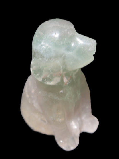 Fluorite hand-carved dog 105g Rocks and Things Store