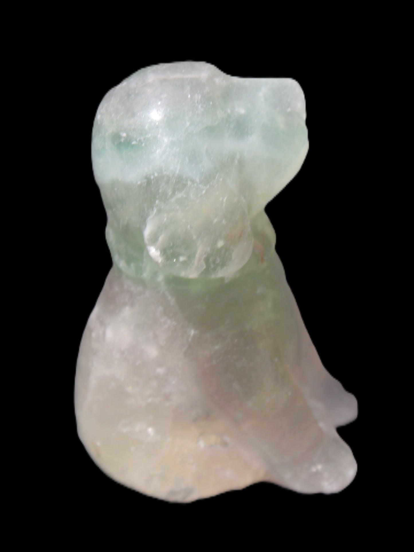 Fluorite hand-carved dog 105g Rocks and Things Store