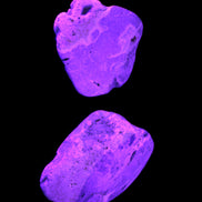 Bumblebee Jasper stones 36.5g in UV light - Rocks and Things Store