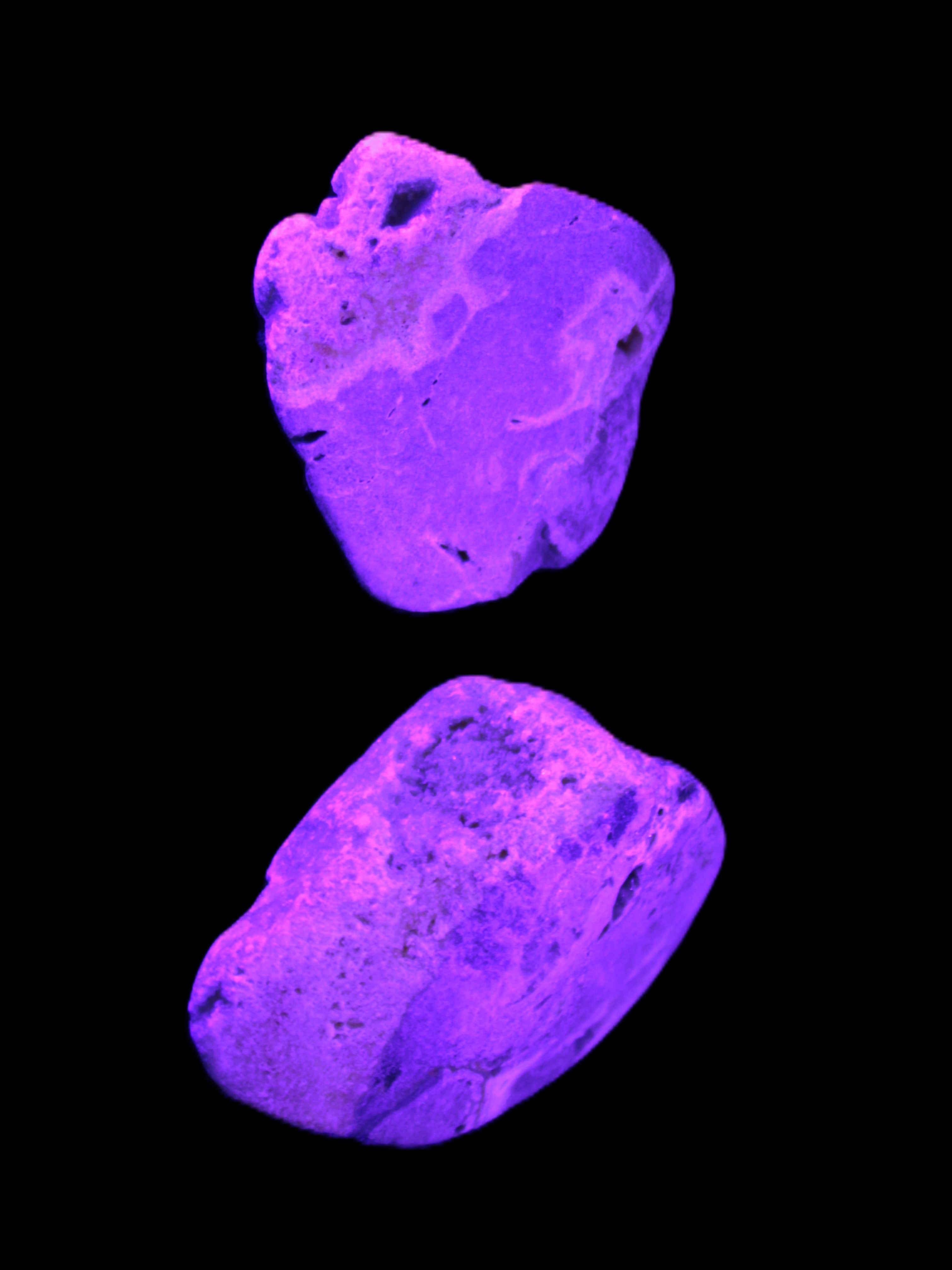 Bumblebee Jasper stones 36.5g in UV light - Rocks and Things Store