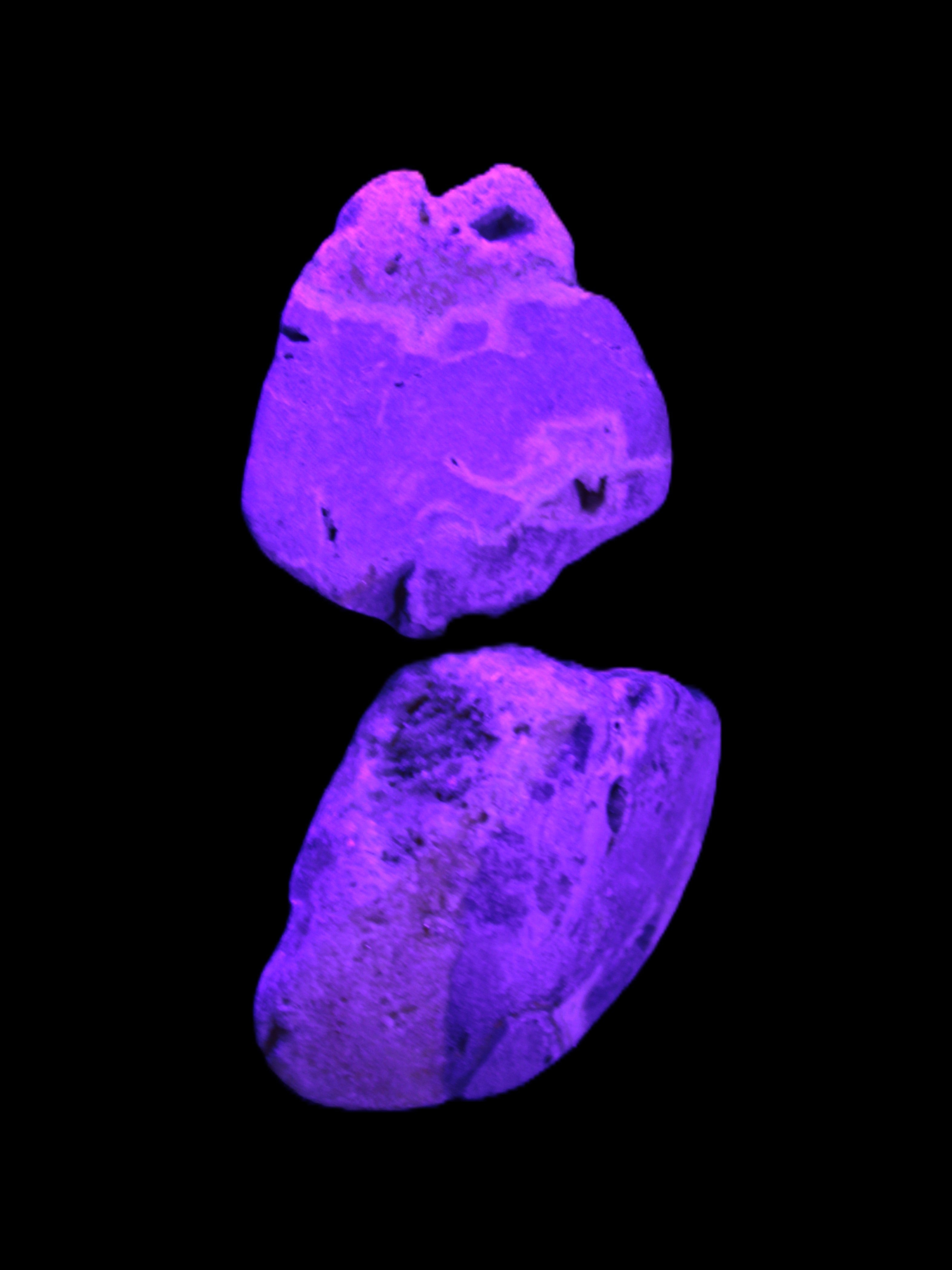 Bumblebee Jasper stones 36.5g in UV light - Rocks and Things Store