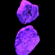 Bumblebee Jasper stones 36.5g in UV light - Rocks and Things Store