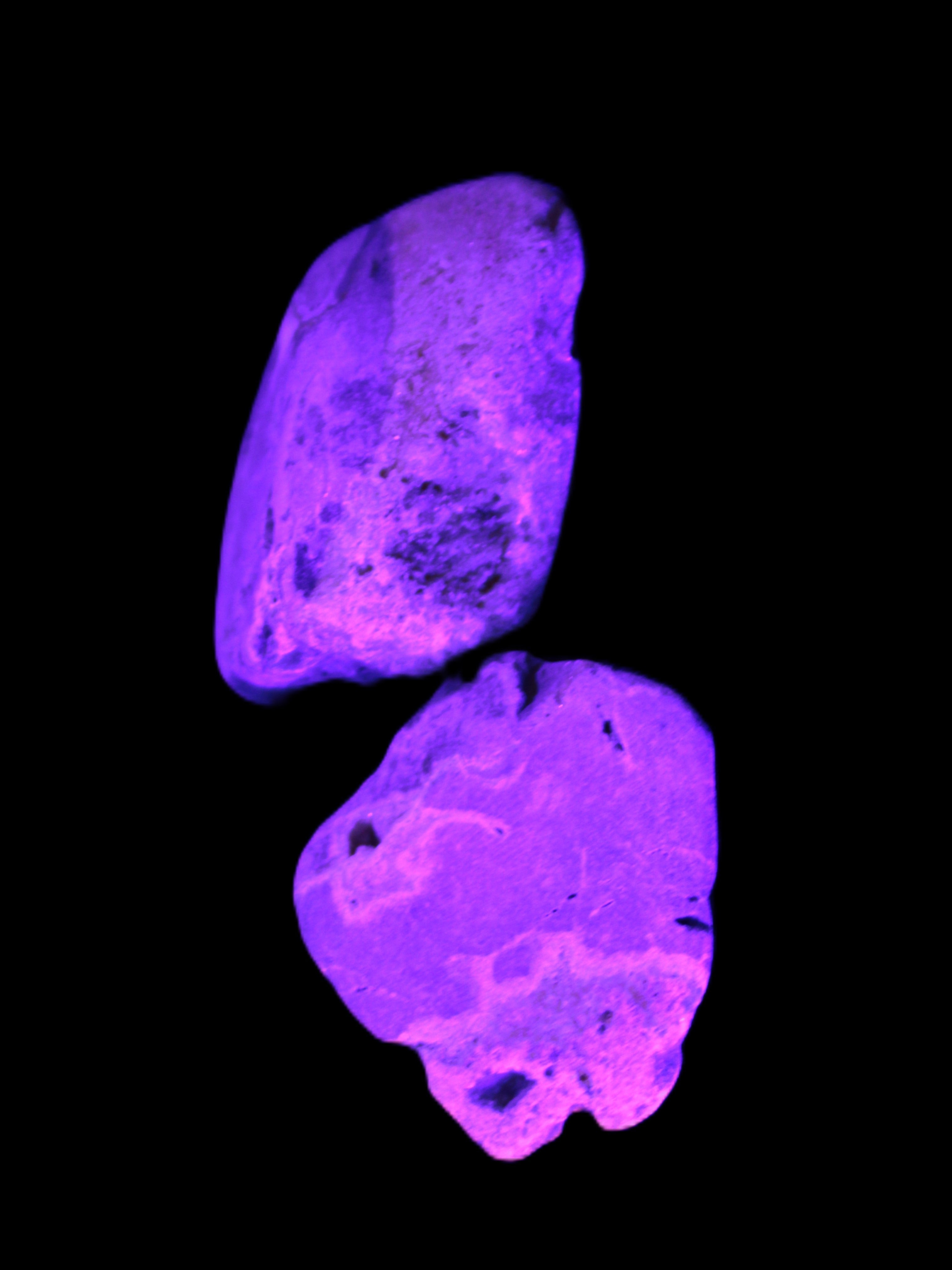 Bumblebee Jasper stones 36.5g in UV light - Rocks and Things Store