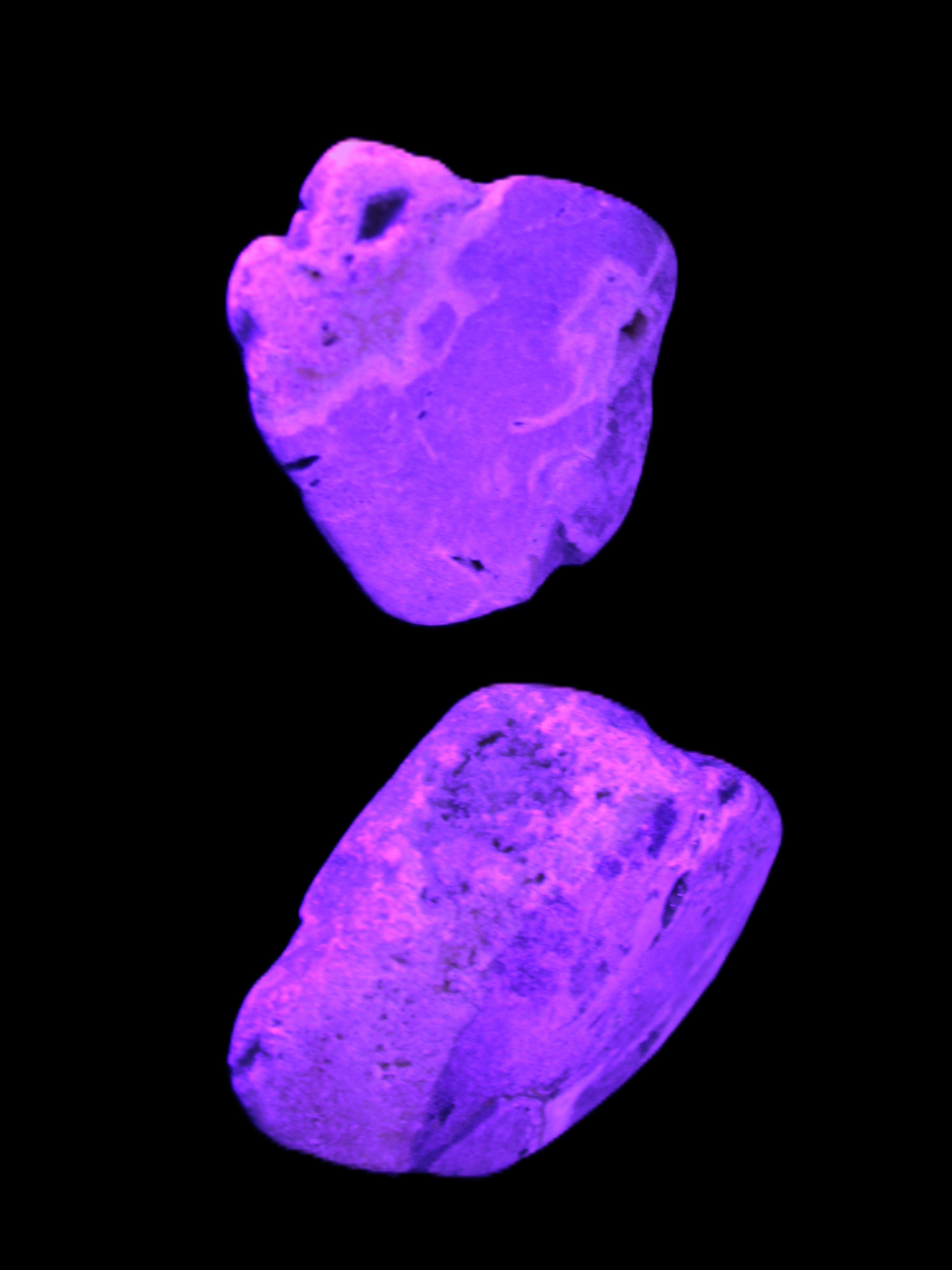 Bumblebee Jasper stones 36.5g in UV light - Rocks and Things Store