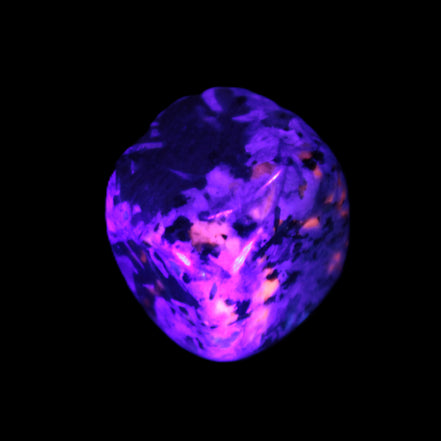 Yooperlite Sodalite polished stone 12-13g