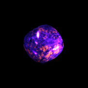 Yooperlite Sodalite polished stone 12-13g