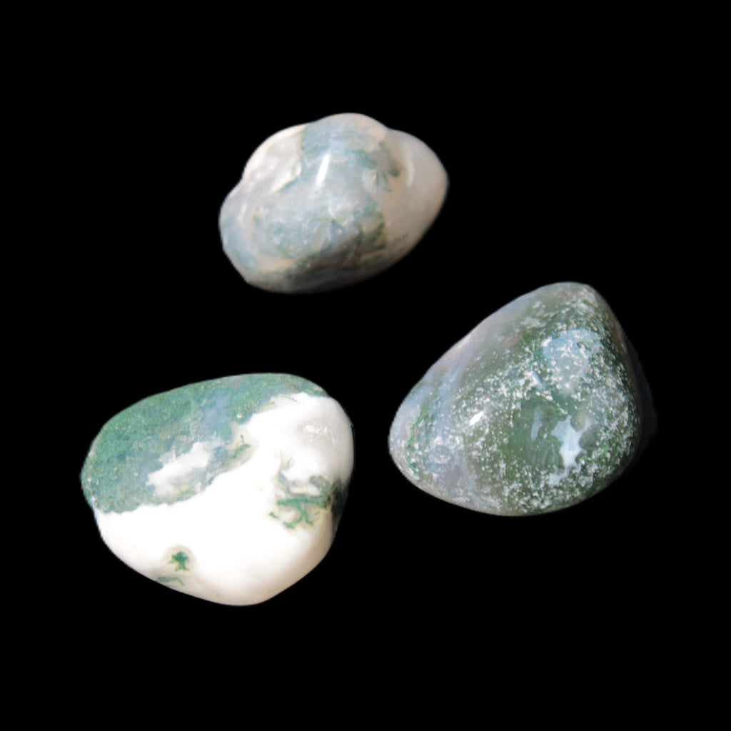 Ocean Moss Agate 2/3 polished stones 20-25g in sunlight - Rocks and Things Store