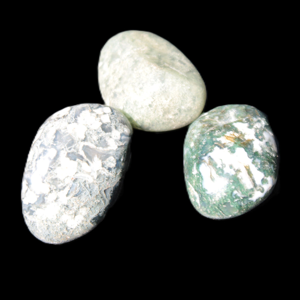 Ocean Moss Agate 2/3 polished stones 20-25g in sunlight - Rocks and Things Store