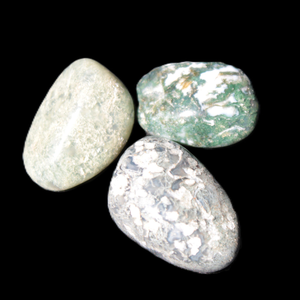 Ocean Moss Agate 2/3 polished stones 20-25g in sunlight - Rocks and Things Store