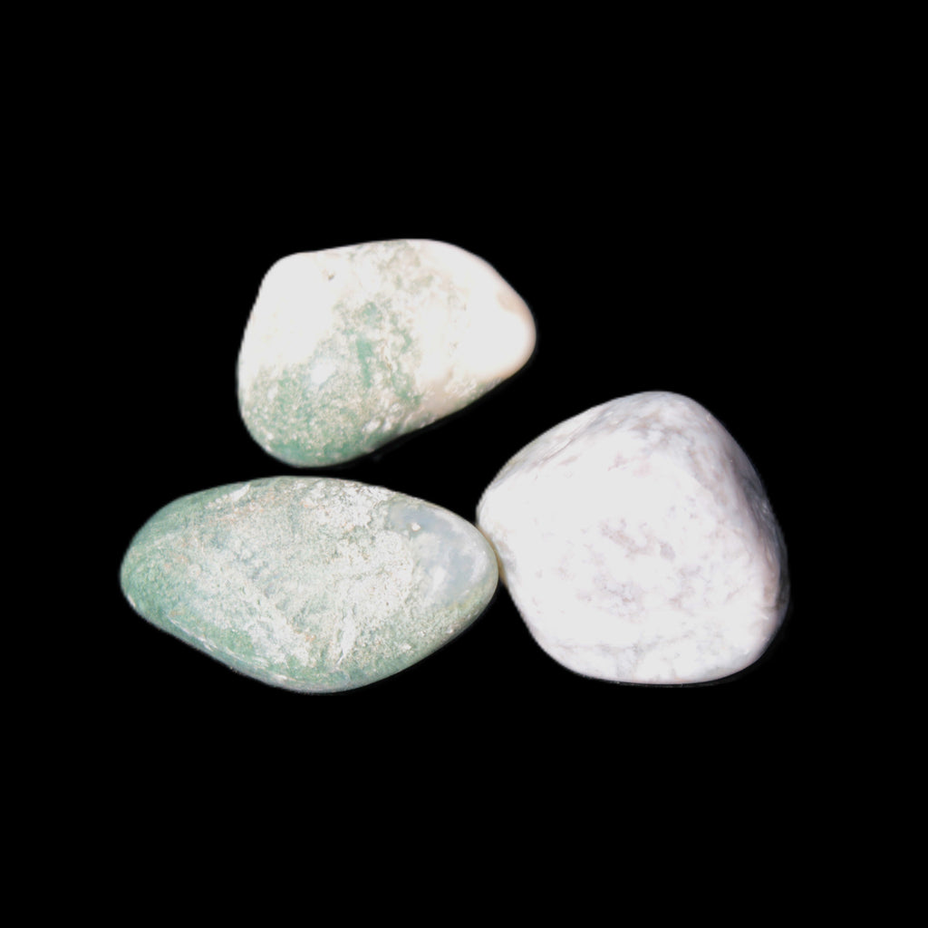 Ocean Moss Agate 2/3 polished stones 20-25g in sunlight - Rocks and Things Store