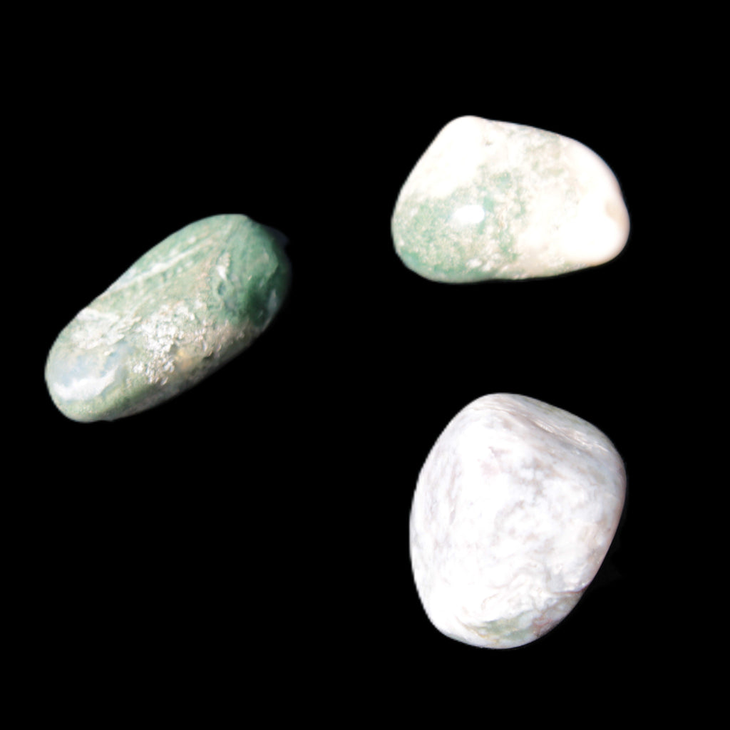 Ocean Moss Agate 2/3 polished stones 20-25g in sunlight - Rocks and Things Store