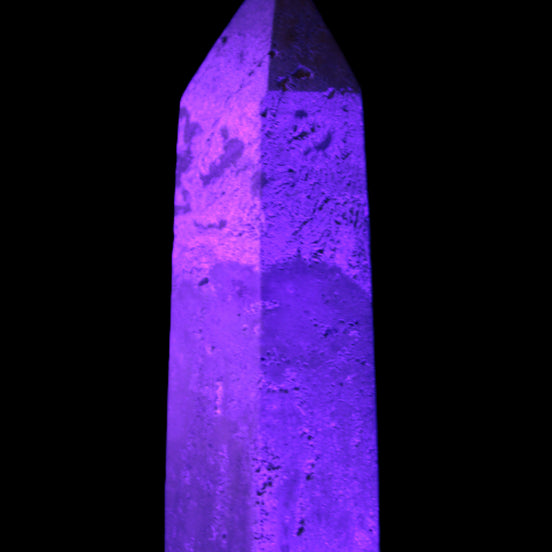 Coral Agate Limestone wand 44g in UV light - Rocks and Things Store