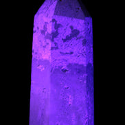 Coral Agate Limestone wand 44g