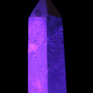 Coral Agate Limestone wand 44g