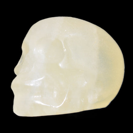 Citrine skull 32*48*35mm 73g Rocks and Things