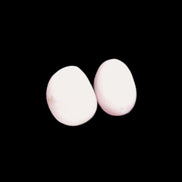 Pink/Lilac Kunzite 2/3 polished crystals 10g in sunlight - Rocks and Things Store