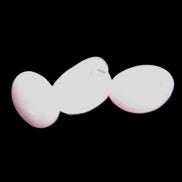 Pink/Lilac Kunzite 2/3 polished crystals 10g in sunlight - Rocks and Things Store