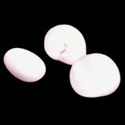 Pink/Lilac Kunzite 2/3 polished crystals 10g in sunlight - Rocks and Things Store