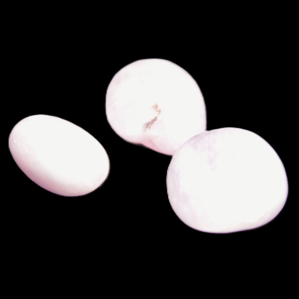Pink/Lilac Kunzite 2/3 polished crystals 10g in sunlight - Rocks and Things Store