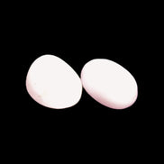 Pink/Lilac Kunzite 2/3 polished crystals 10g in sunlight - Rocks and Things Store