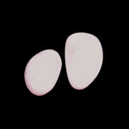 Pink/Lilac Kunzite 2/3 polished crystals 10g in sunlight - Rocks and Things Store