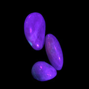 Pink/Lilac Kunzite 2/3 polished crystals 10g in UV light - Rocks and Things Store