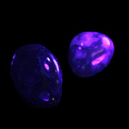 Green Moss Agate 2 polished stones 12-15g in UV light - Rocks and Things Store