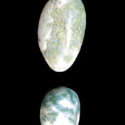 Green Moss Agate 2 polished stones 12-15g Rocks and Things Store