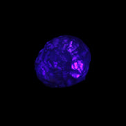 Carbonado natural stones from Egypt 10-14g