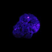 Carbonado natural stones from Egypt 10-14g