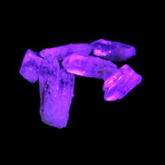 Lepidocrosite Fire Quartz from Namibia 5/6 crystals 5-7g in UV light - Rocks and Things Store