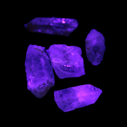 Lepidocrosite Fire Quartz from Namibia 5/6 crystals 5-7g in UV light - Rocks and Things Store