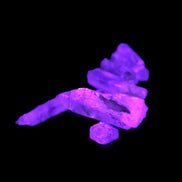 Lepidocrosite Fire Quartz from Namibia 5/6 crystals 5-7g in UV light - Rocks and Things Store