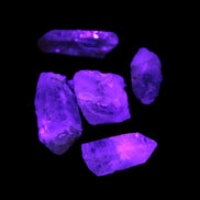 Lepidocrosite Fire Quartz from Namibia 5/6 crystals 5-7g in UV light - Rocks and Things Store