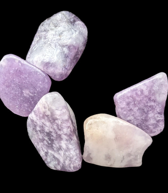 Lepidolite 5/6 polished stones 10+mm 9-10g Rocks and Things Store