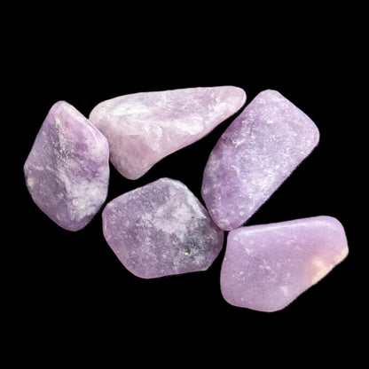 Lepidolite 5/6 polished stones 10+mm 9-10g Rocks and Things Store