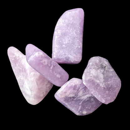 Lepidolite 5/6 polished stones 10+mm 9-10g Rocks and Things Store