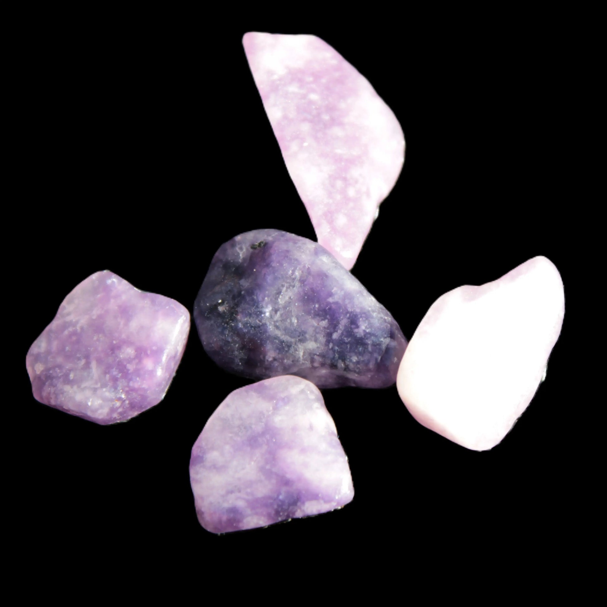 Lepidolite 5/6 polished stones 10+mm 9-10g Rocks and Things Store