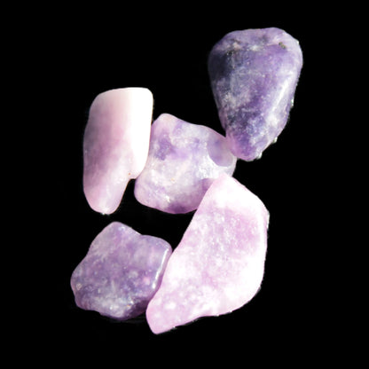 Lepidolite 5/6 polished stones 10+mm 9-10g Rocks and Things Store