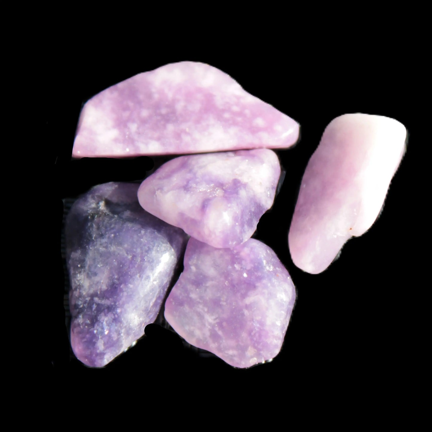 Lepidolite 5/6 polished stones 10+mm 9-10g Rocks and Things Store