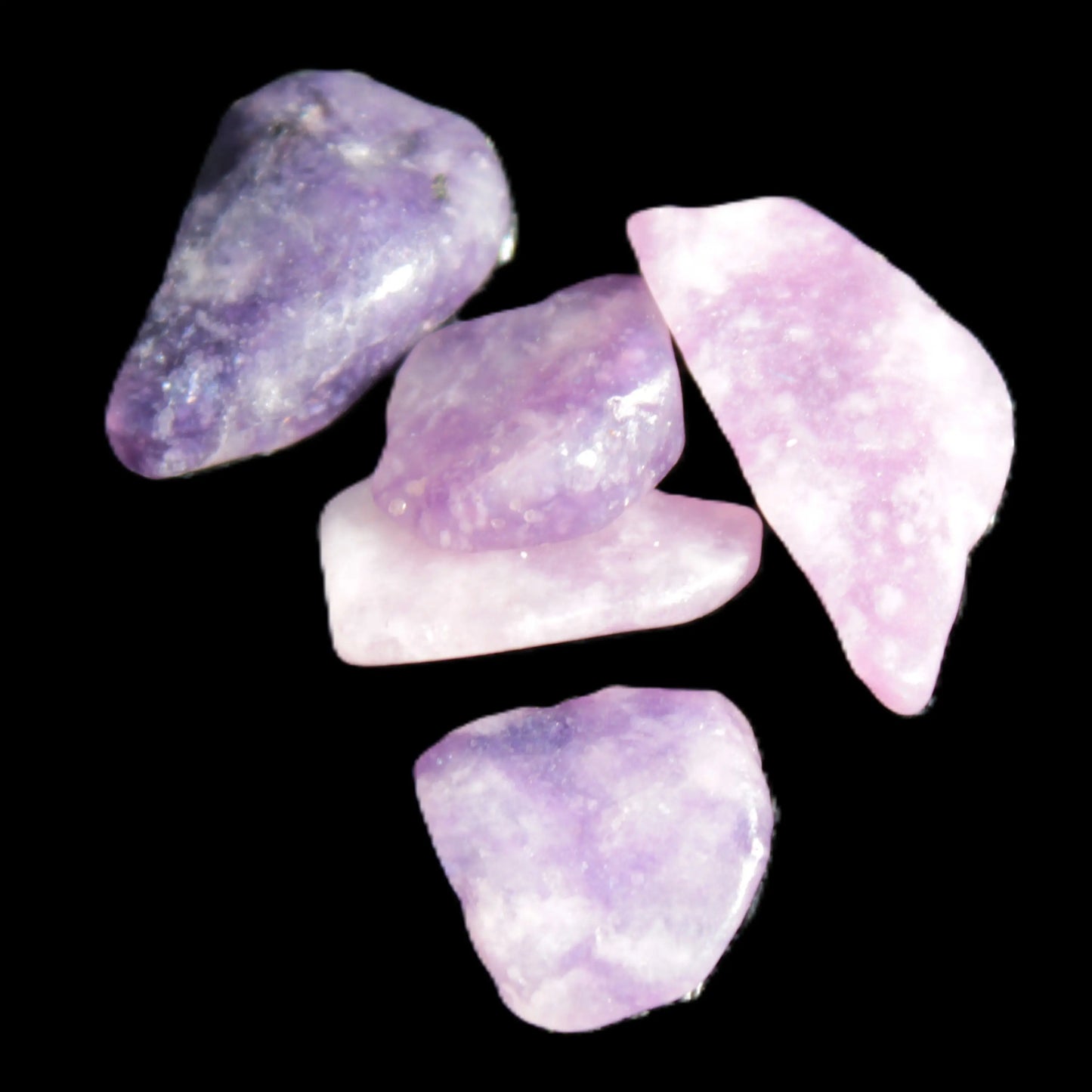 Lepidolite 5/6 polished stones 10+mm 9-10g Rocks and Things Store