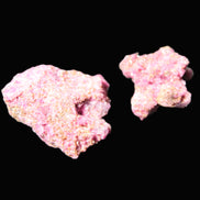 Ruby Natural Corundum crystals 12-14g Rocks and Things Store