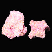 Ruby Natural Corundum crystals 12-14g Rocks and Things Store