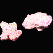 Ruby Natural Corundum crystals 12-14g Rocks and Things Store