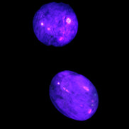 Neon Blue Apatite 2 tumbled stones 17-20mm 14g in UV light