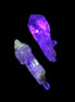 Two Fenster sceptre crystals with bridges, enhydro & hydrocarbons 5.3g in UV light